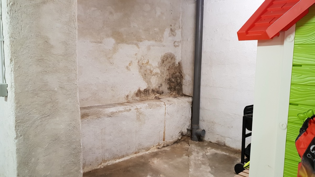 Infiltrations d'eau - Expertise humidité à Bourg-en-Bresse